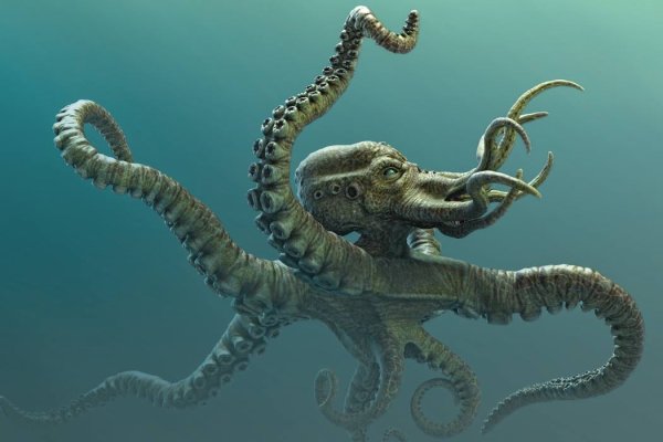 Kraken даркнет переходник