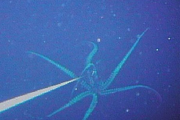 Кракен вход krakens13 at
